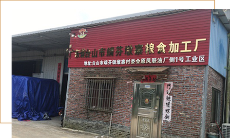 台山市粮食收储 广东大米厂家与批发首选